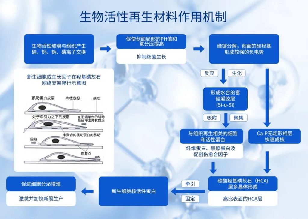 重磅 | 「骨颜微晶™」全新升级上市，「生物活性再生材料」再续抗衰新篇章