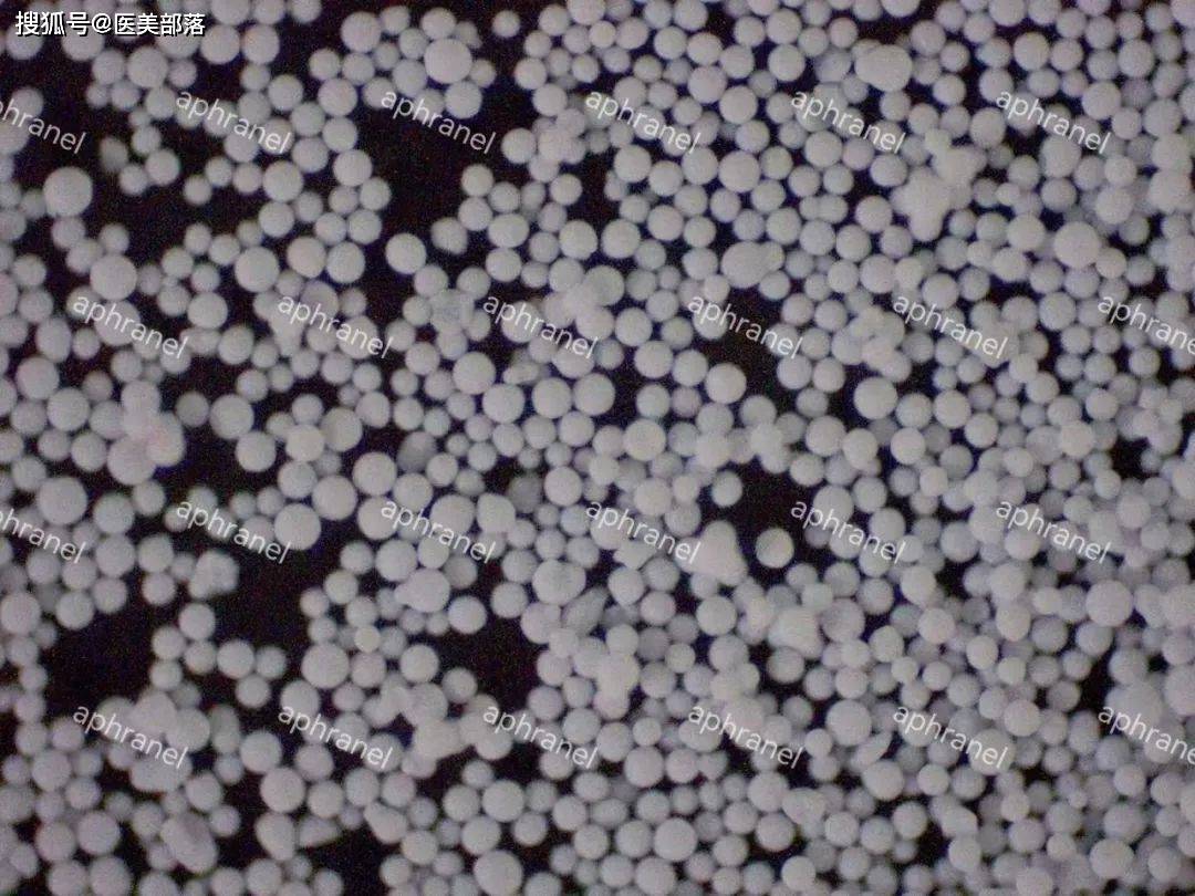 摩漾生物 | Aphranel「优法兰」CaHA面部注射填充剂上市前「专家沟通会」圆满举办