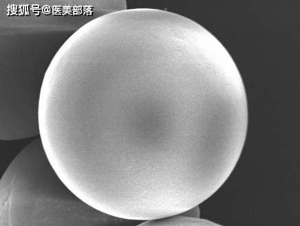 益诚生物 | 助力揭秘「PCL微球」促进「胶原再生」新机制