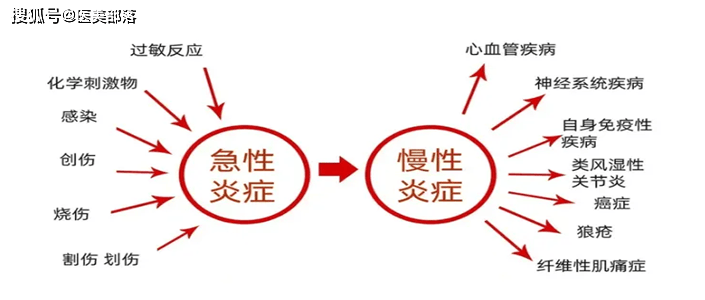 艾维岚 | 「抗衰」前提是抗炎，医美产品的「基因时代」大幕开启 