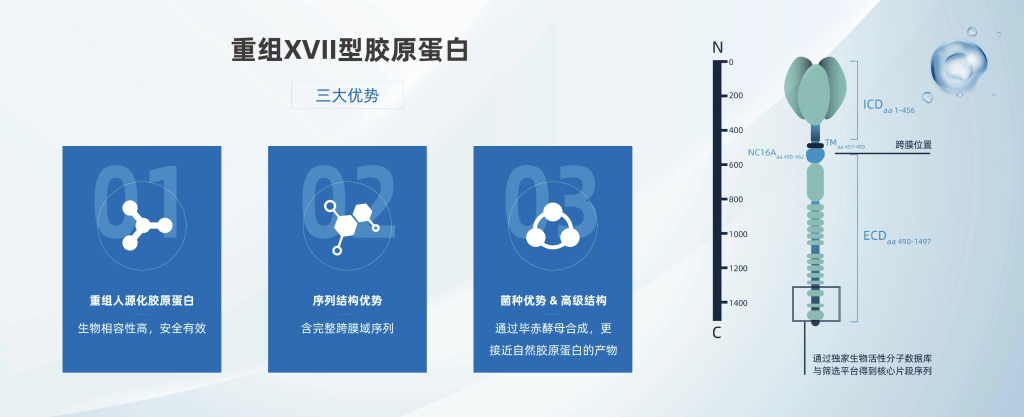 未名拾光 | 完成「近亿元」B轮融资，再获「欧莱雅」战略加持