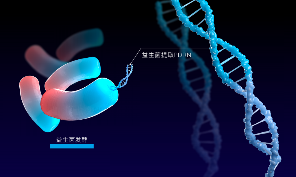 华湙生物 | 全球首款「双球PDRN」，开启「细胞级精准抗衰」新纪元