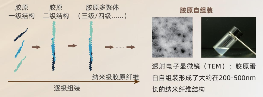 未名拾光 | 完成「近亿元」B轮融资，再获「欧莱雅」战略加持