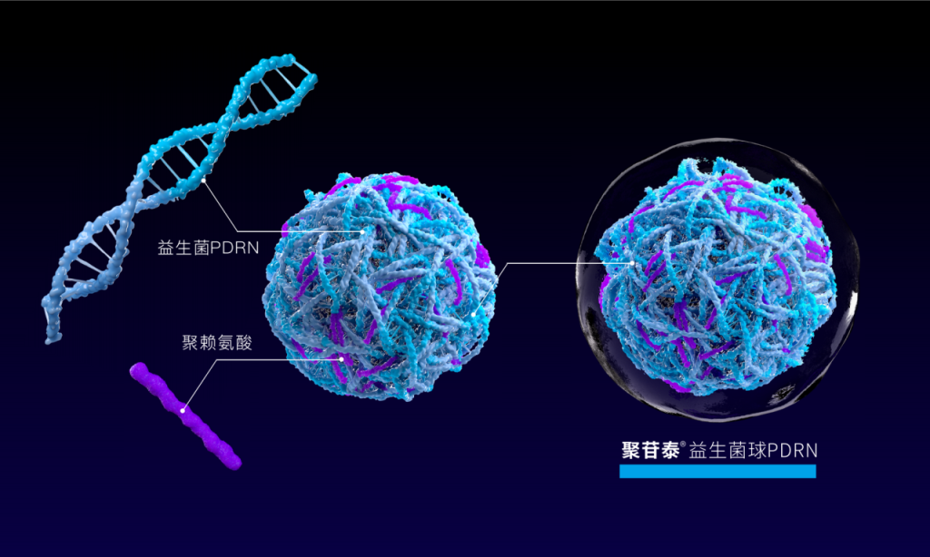 华湙生物 | 全球首款「双球PDRN」，开启「细胞级精准抗衰」新纪元