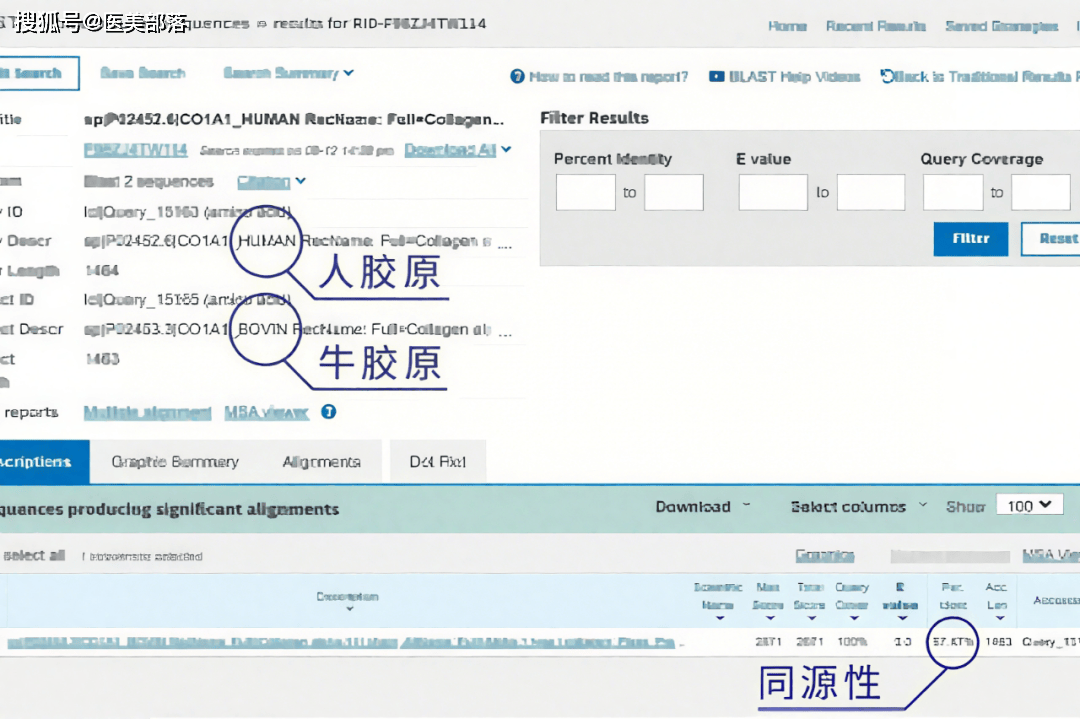 重磅 | 天津松果生物天然活性「I型胶原蛋白」，重塑「医美填充」新标准