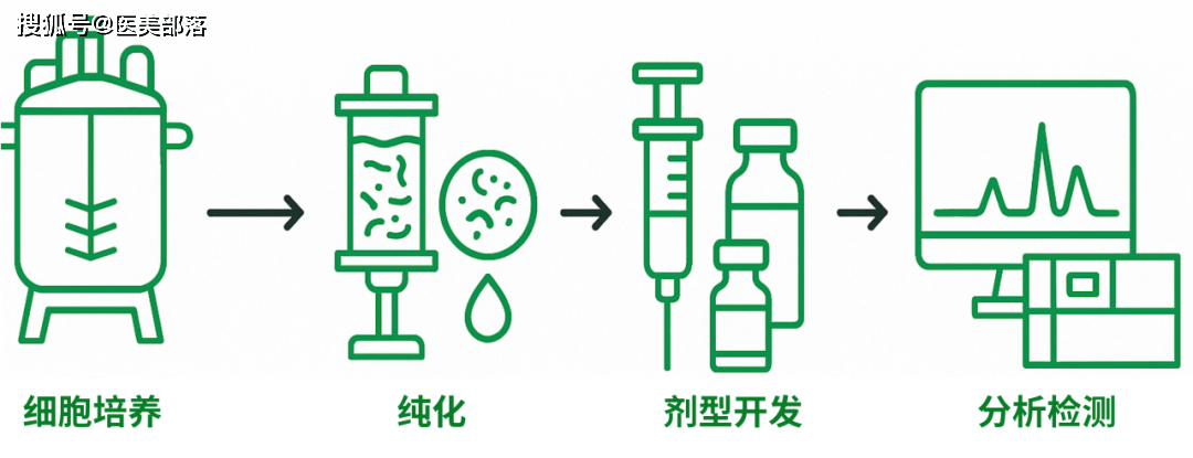 重磅 | 「重组胶原蛋白产品」的灭菌工艺，「过滤除菌+无菌加工」的完美结合