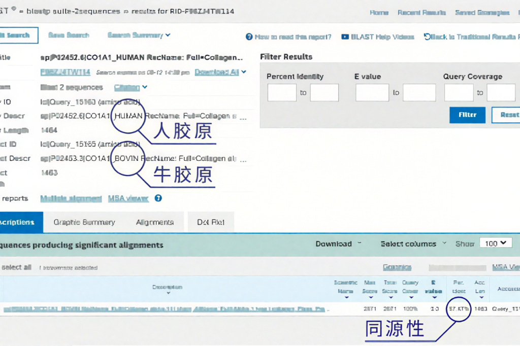 重磅 | 天津松果生物天然活性「I型胶原蛋白」，重塑「医美填充」新标准