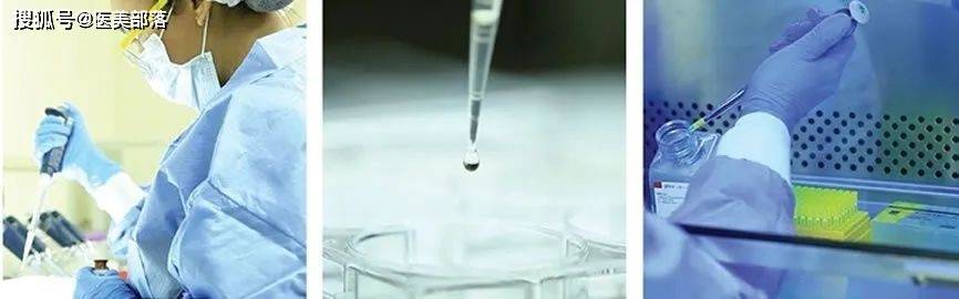 主理人说 | 贝妮芙陈红磊：“以创新皮肤美容科学为核心宗旨，高端医美品牌的科技先锋”