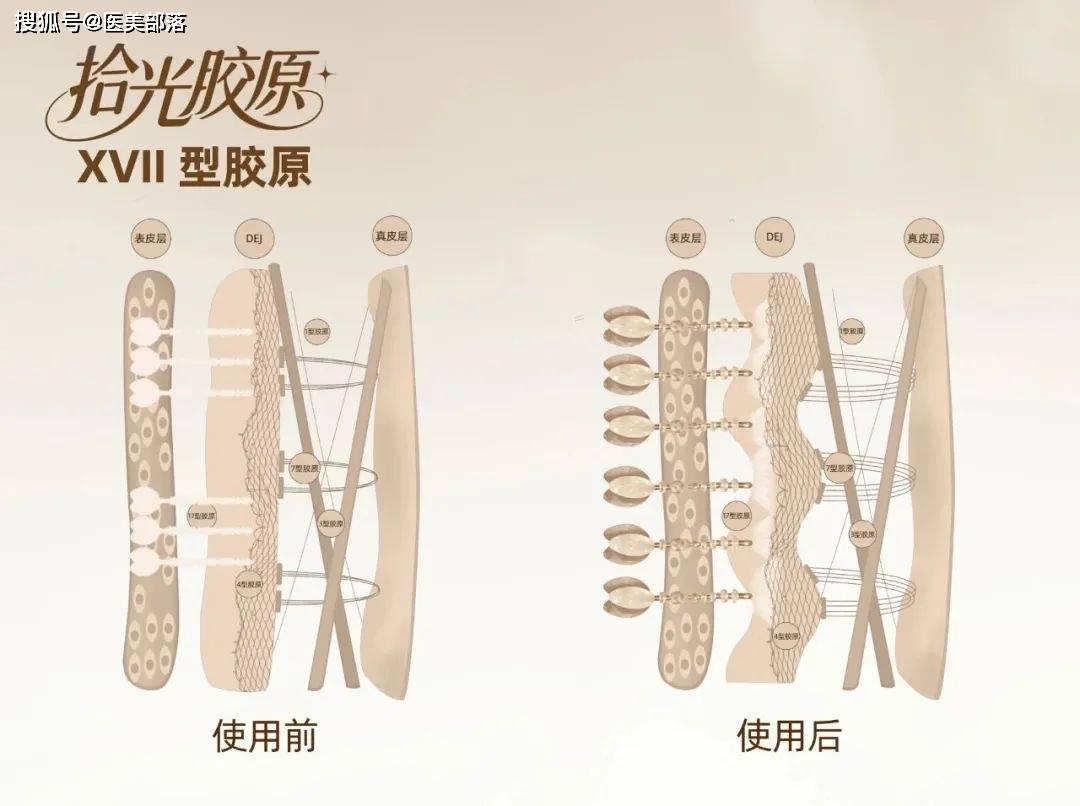 寻美之旅 | 「光原昕生」用科技定义美，以「重组胶原蛋白」打造医美行业新标杆