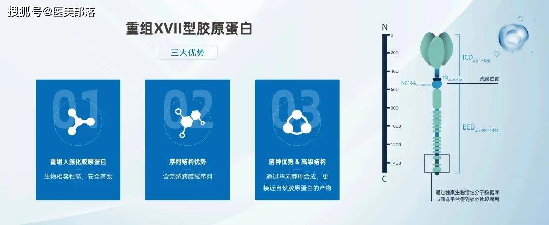 寻美之旅 | 「光原昕生」用科技定义美，以「重组胶原蛋白」打造医美行业新标杆