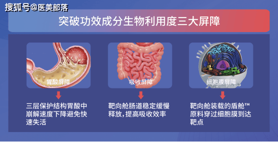 佰诺兮 | 「铠舱胶囊」全球首发，以再生医学重新定义「口服美容」精准抗衰 