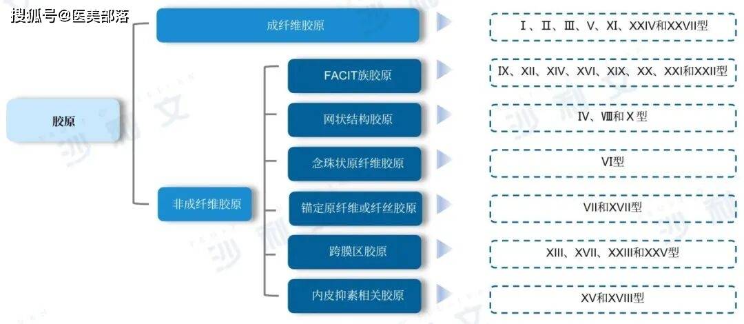 沙利文 | 发布「2025医美注射类产品」行业发展现状与未来趋势蓝皮书